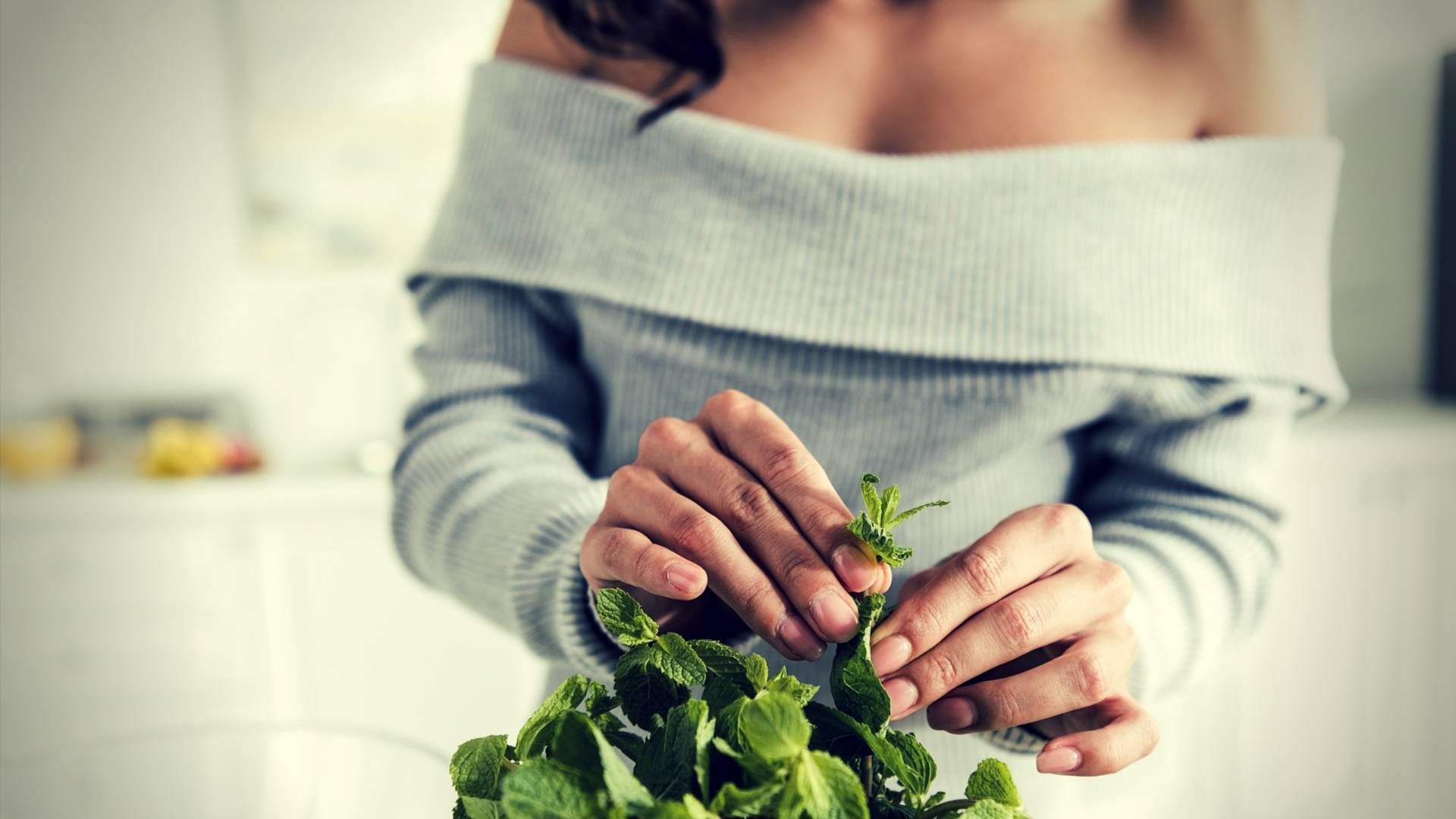 Herbs for Breast Growth - The Best Botanicals to Increase Breast Size