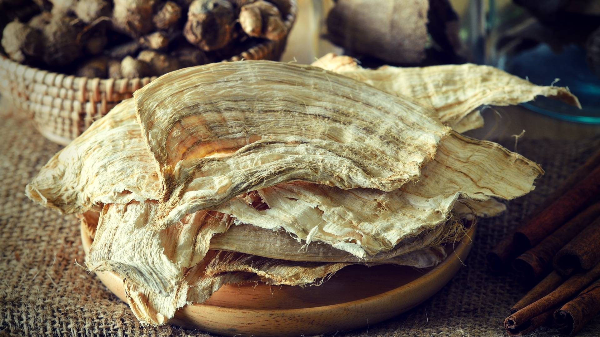 White Kwao Krua: الفوائد الصحية لبوريريا Mirifica