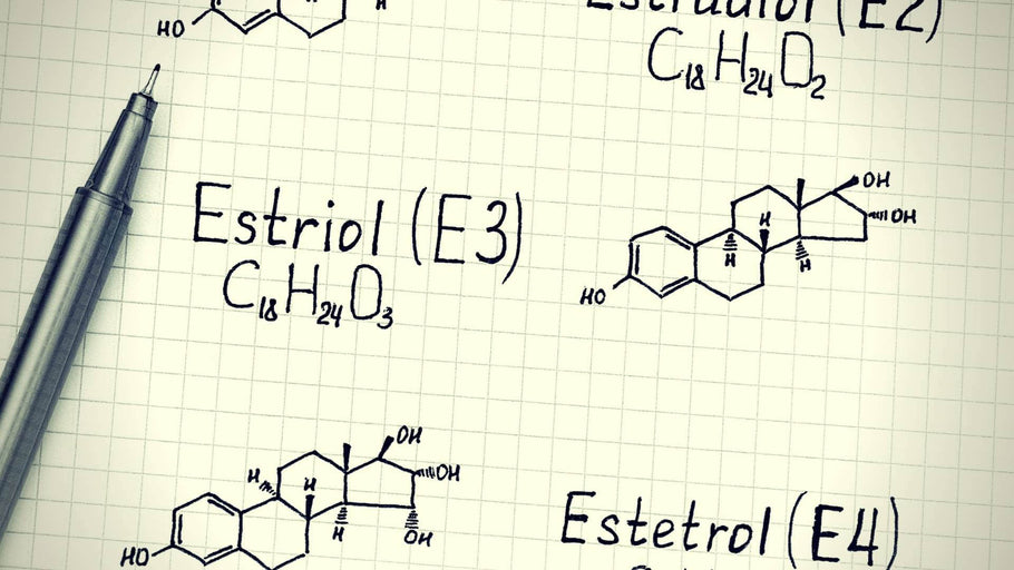 Estriol vs. Estradiol : 효과, 부작용 및 대안