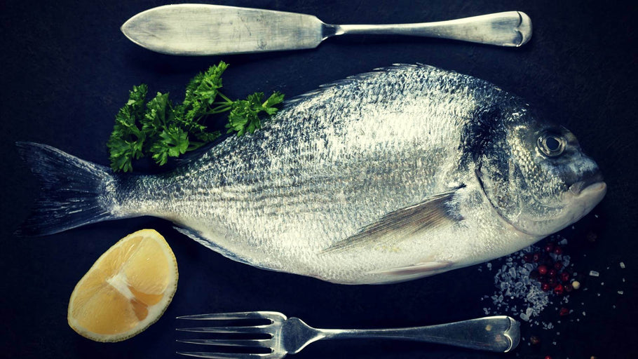 मछली कोलेजन स्वास्थ्य लाभ: अध्ययन क्या कहते हैं?