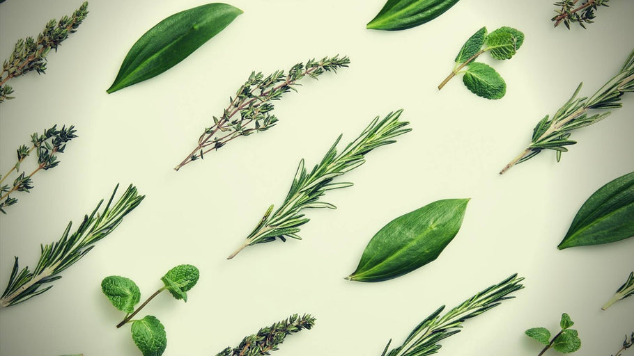 Where to Buy Pueraria Mirifica Without Risking Your Health and Money