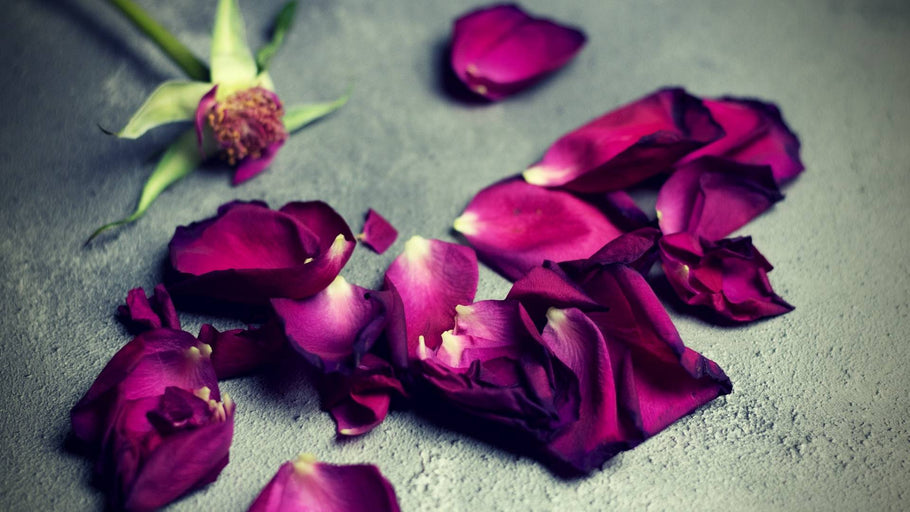 Low Estrogen Causes, Symptoms, and Best Treatments