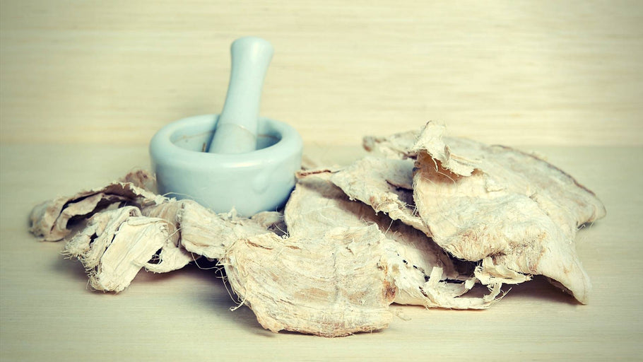 Kwao Krua Kao: Health Benefits of Pueraria Mirifica (White Kwao Krua)