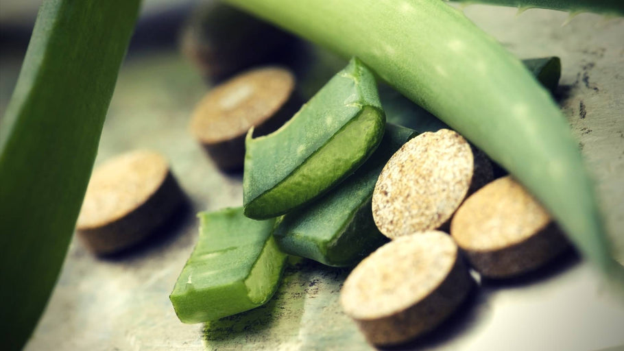 Ainterol Reviewed: Everything You Need to Know Before Buying Their Products