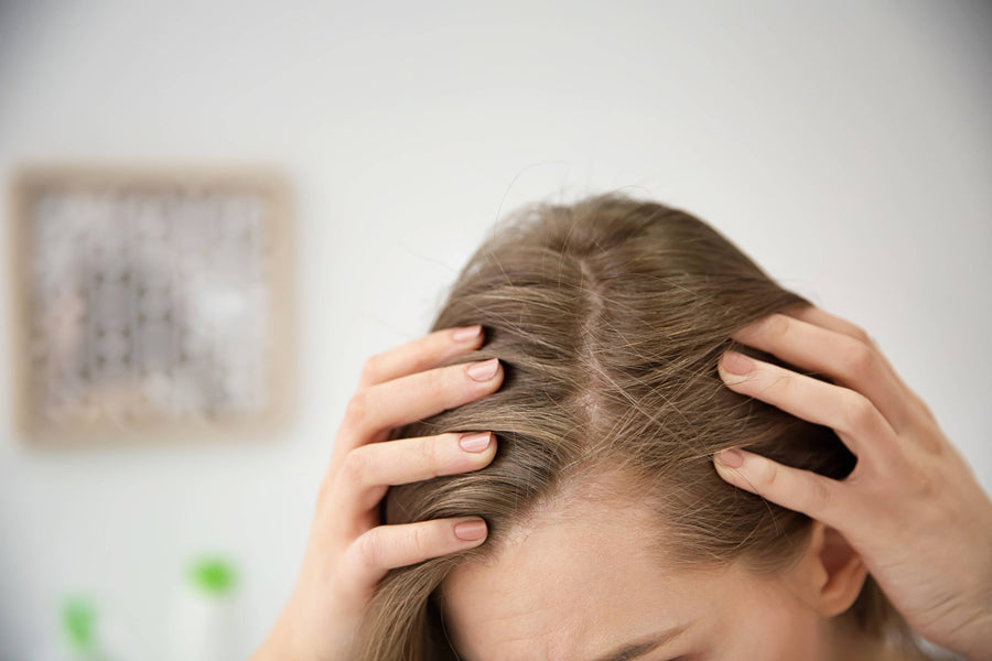 Capacite suas raízes: como melhorar a saúde do couro cabeludo