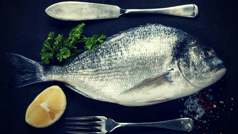 Fish Collagen Health Benefits: What do the Studies Say?