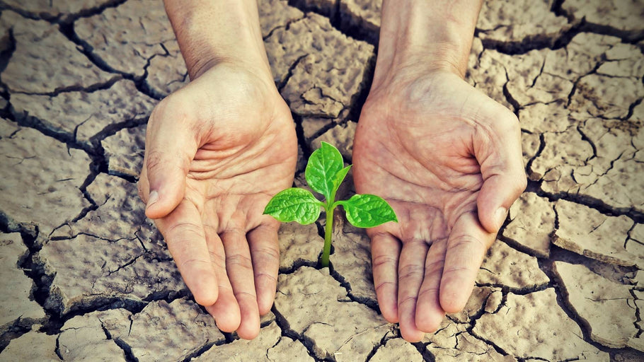 Menopause Dry Skin: Causes, Treatment, Natural Care