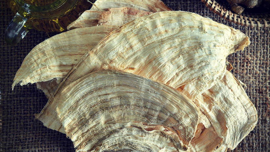 Pueraria Mirifica Common Name, Traditional Use, and Health Benefits