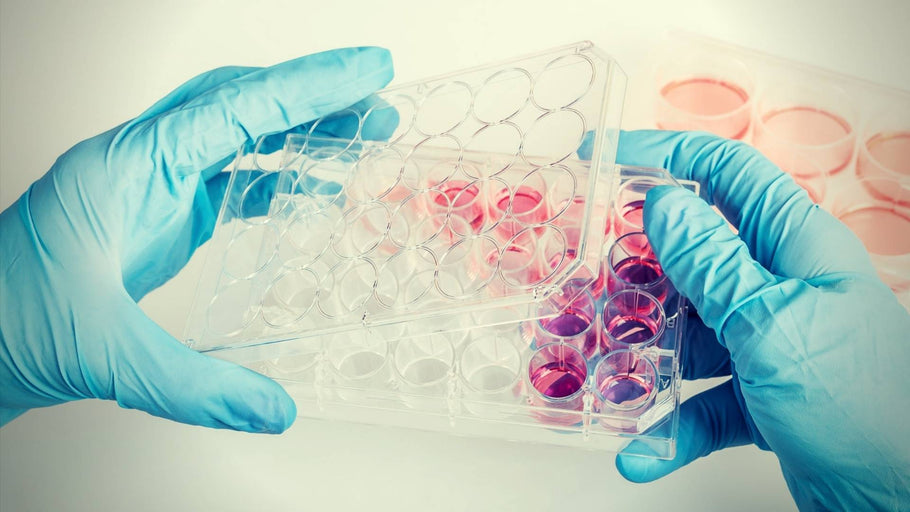 Stem Cell Breast Augmentation: Better Than Implants?