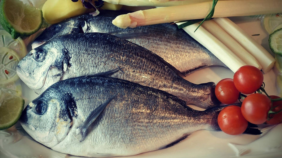 Marine Collagen vs. Bovine Collagen: Which Is Better for Your Health and Beauty?