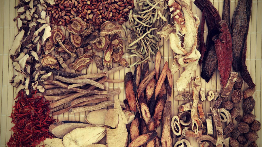 Breast Enhancement Herbs: Ancient Remedies and Modern Solutions