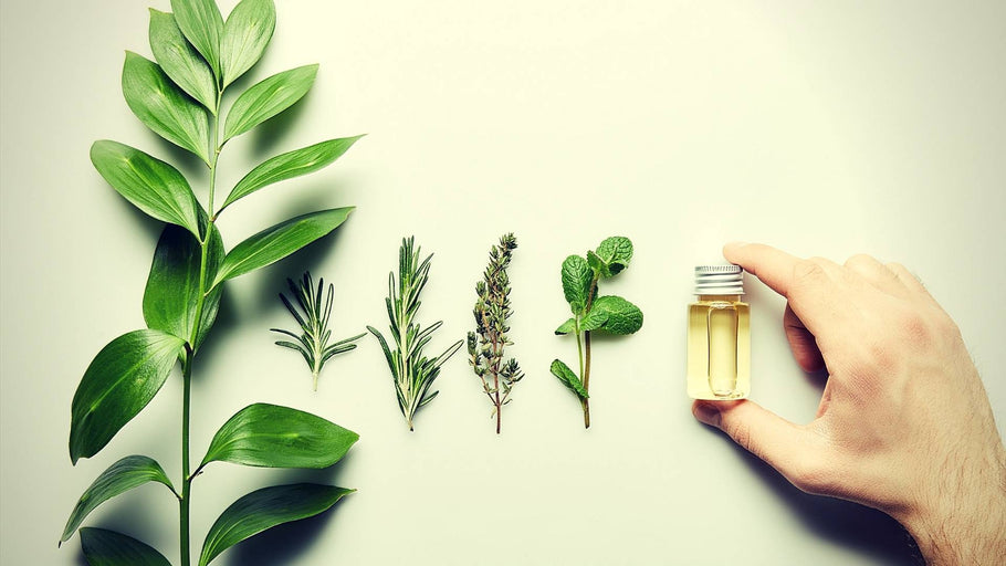 Pueraria Mirifica Effects on Males